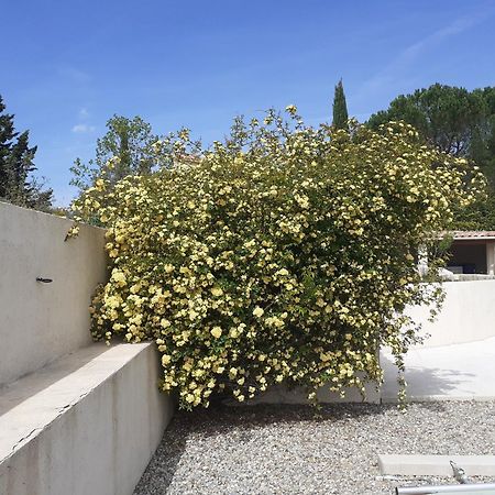 Chambres D'Hotes, B&B Climatisees La Borrellienne Saint-Maximin-la-Sainte-Baume Exterior photo
