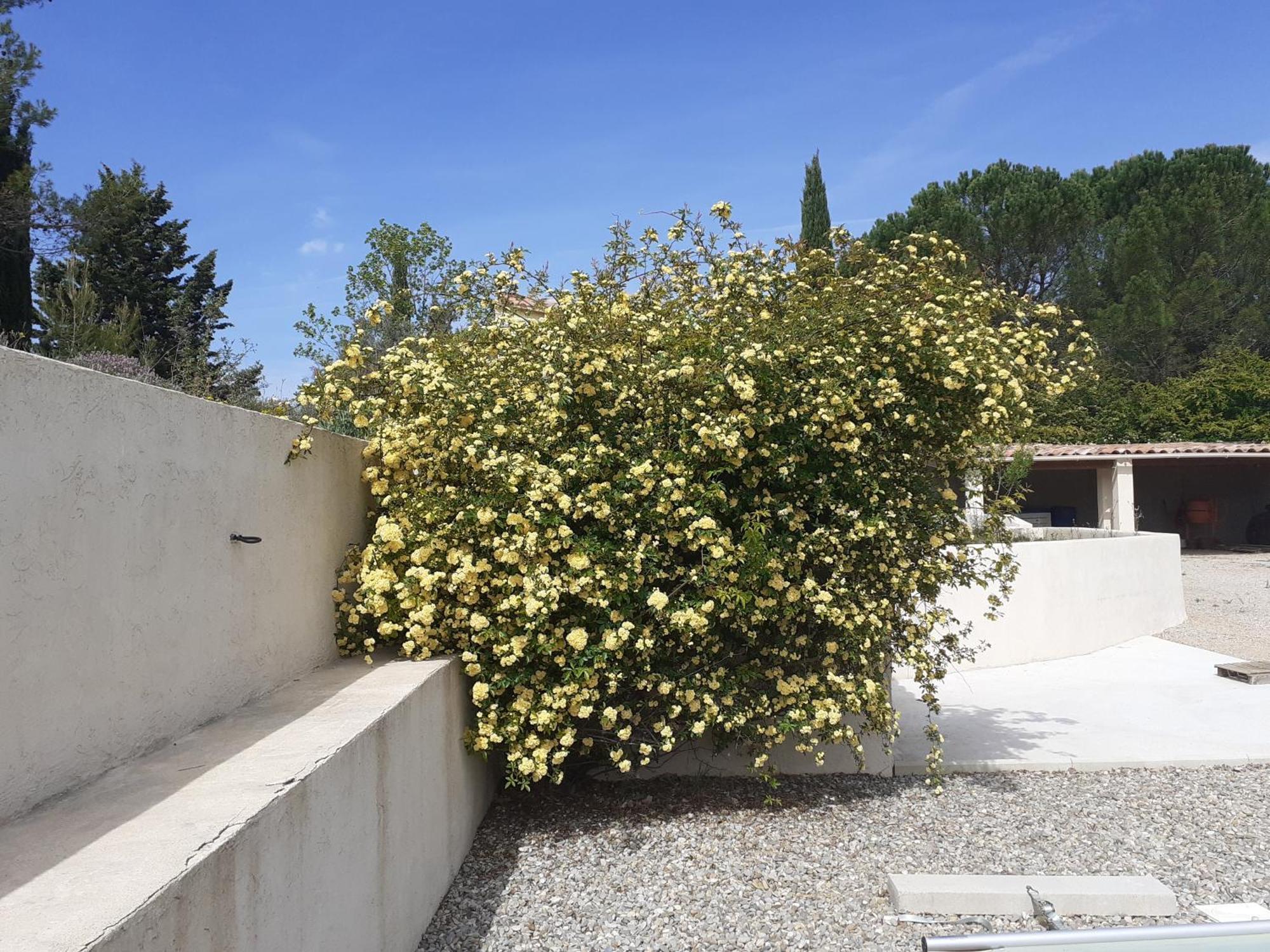 Chambres D'Hotes, B&B Climatisees La Borrellienne Saint-Maximin-la-Sainte-Baume Exterior photo